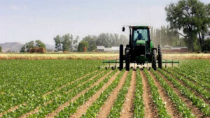 Les clés d’une agriculture moderne et rentable au Sénégal